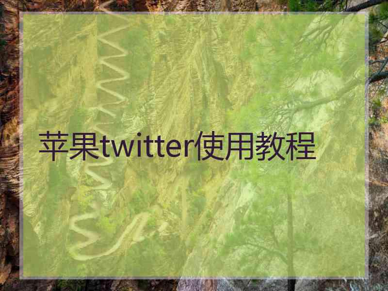 苹果twitter使用教程