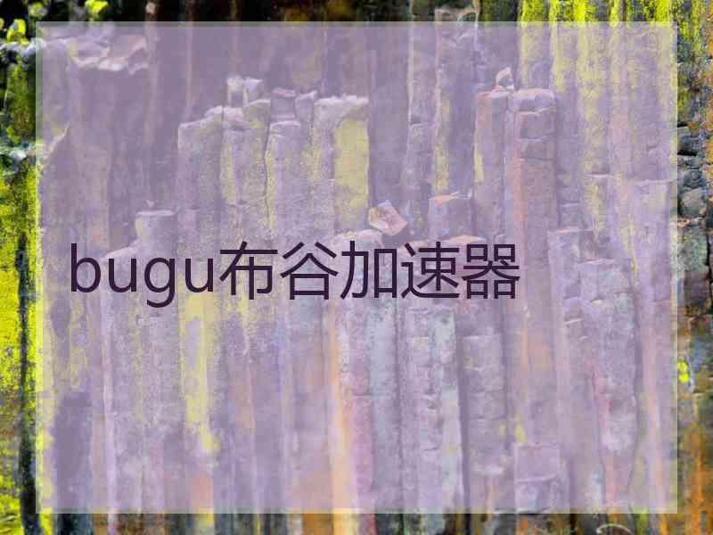 bugu布谷加速器