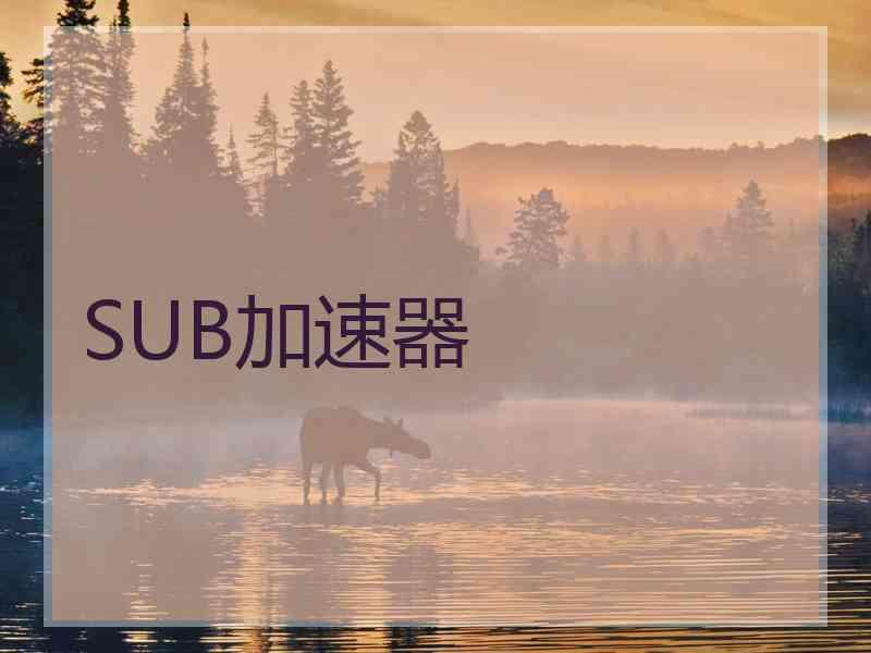 SUB加速器