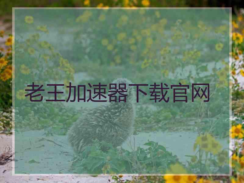 老王加速器下载官网