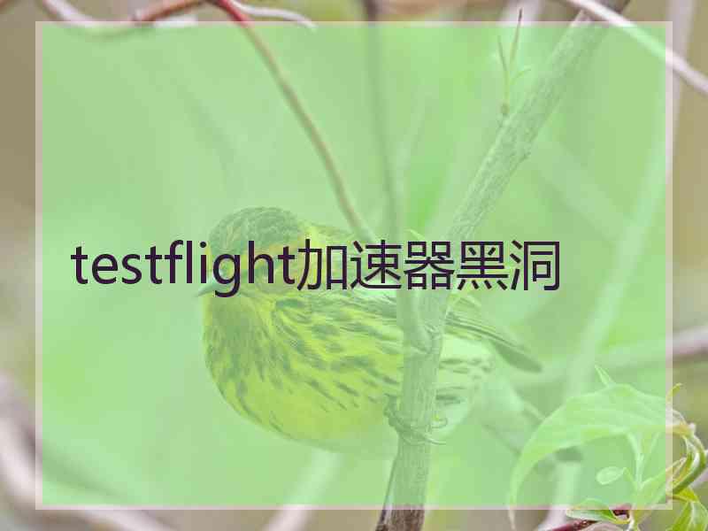 testflight加速器黑洞