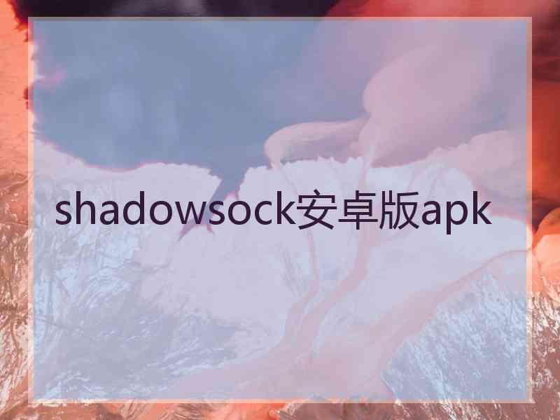 shadowsock安卓版apk