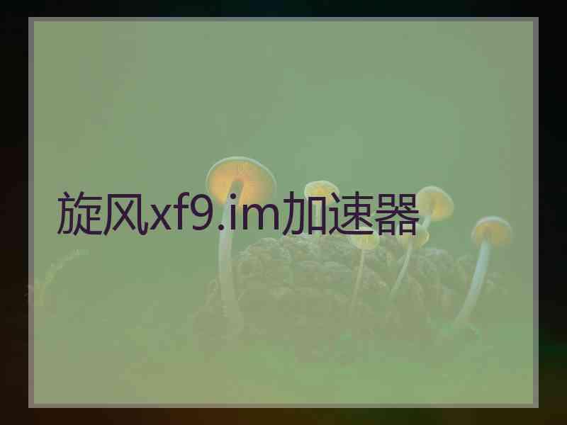 旋风xf9.im加速器