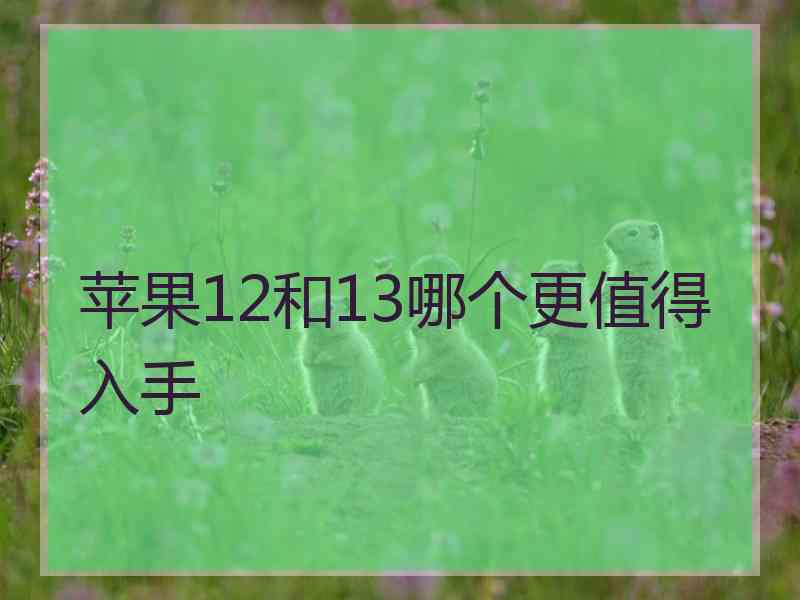 苹果12和13哪个更值得入手