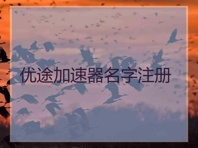 优途加速器名字注册