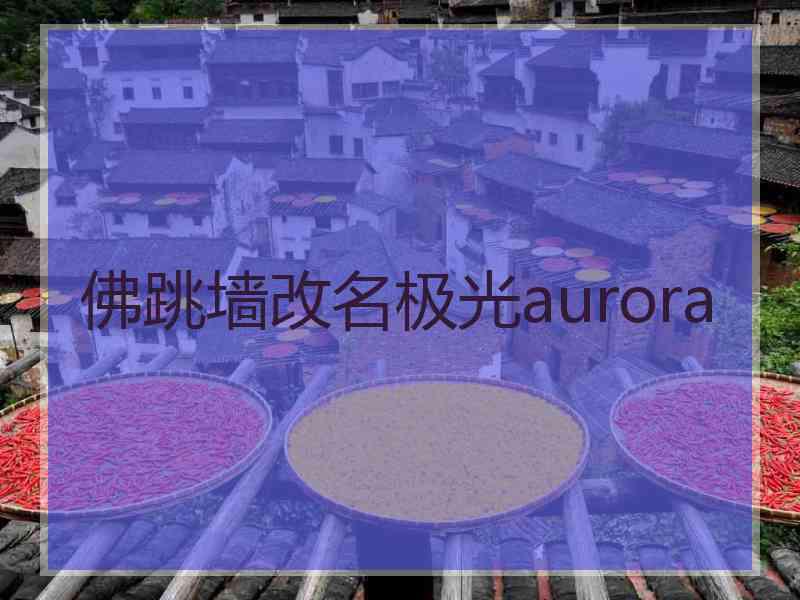 佛跳墙改名极光aurora