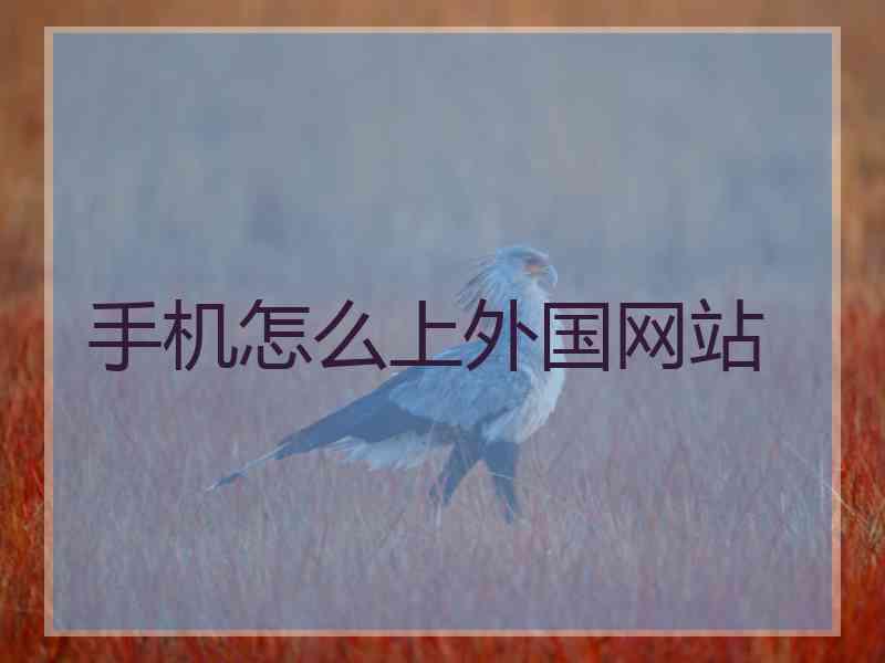 手机怎么上外国网站