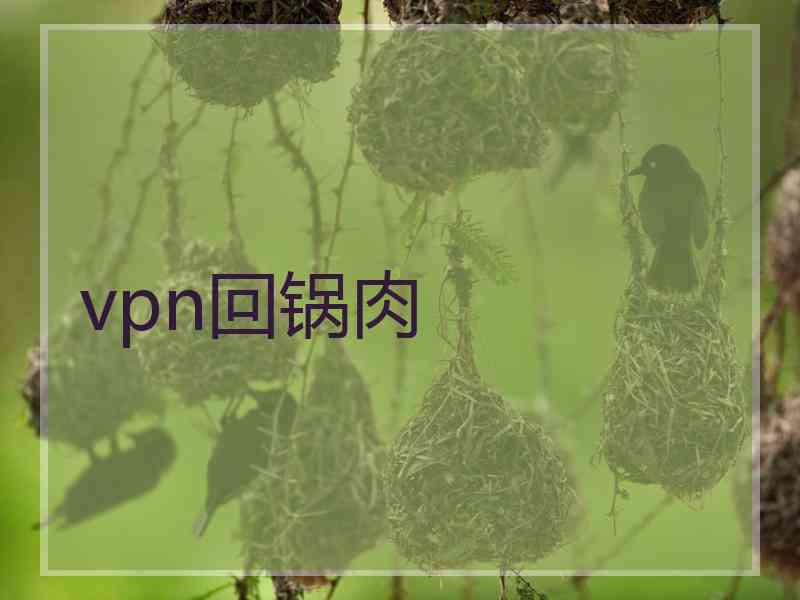 vpn回锅肉