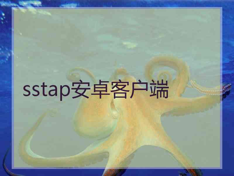 sstap安卓客户端
