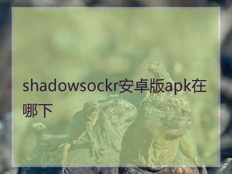 shadowsockr安卓版apk在哪下