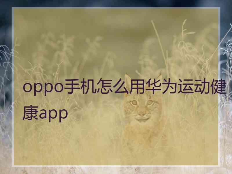 oppo手机怎么用华为运动健康app