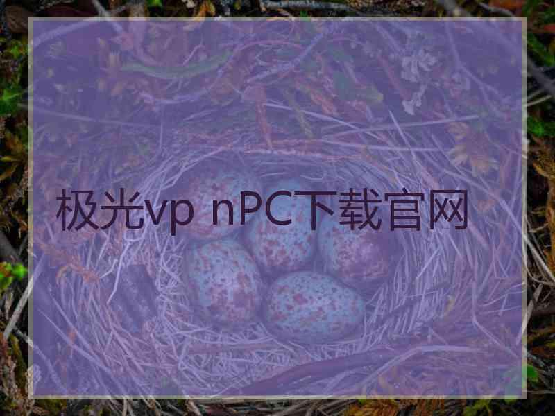 极光vp nPC下载官网