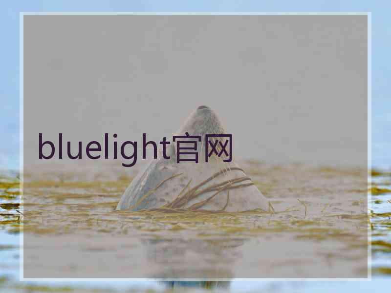 bluelight官网