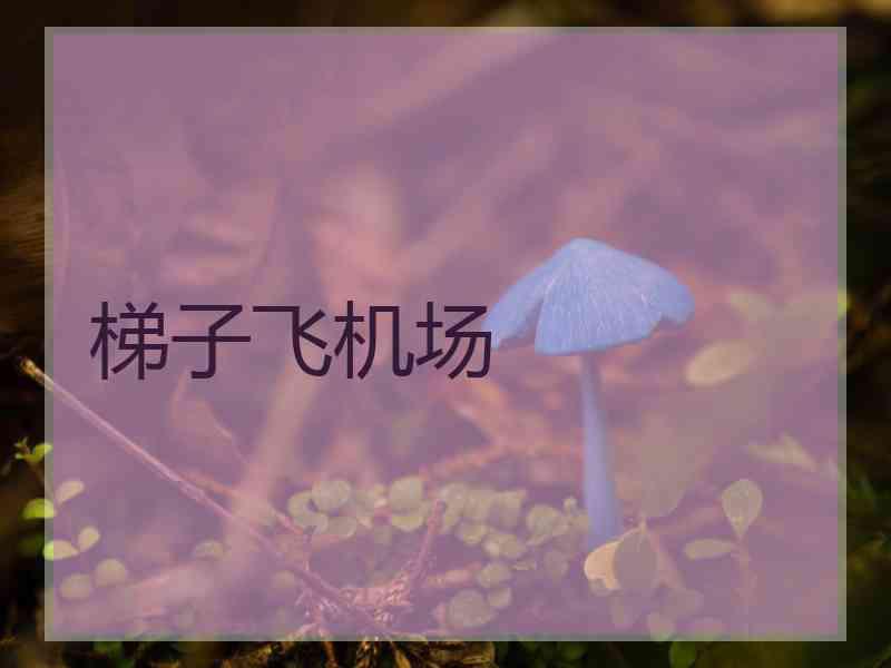 梯子飞机场
