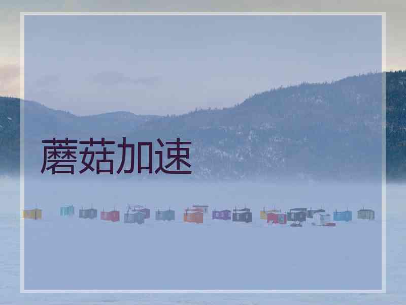 蘑菇加速