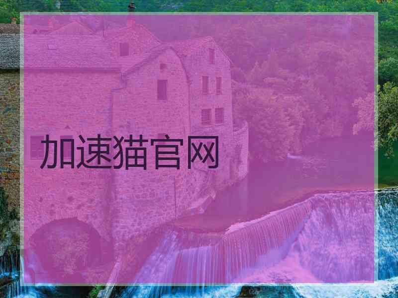 加速猫官网