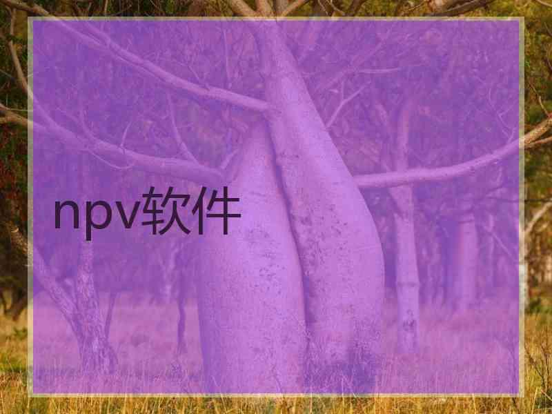 npv软件