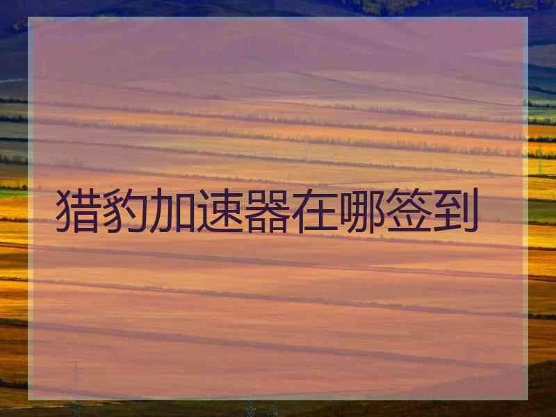 猎豹加速器在哪签到