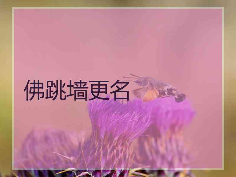 佛跳墙更名