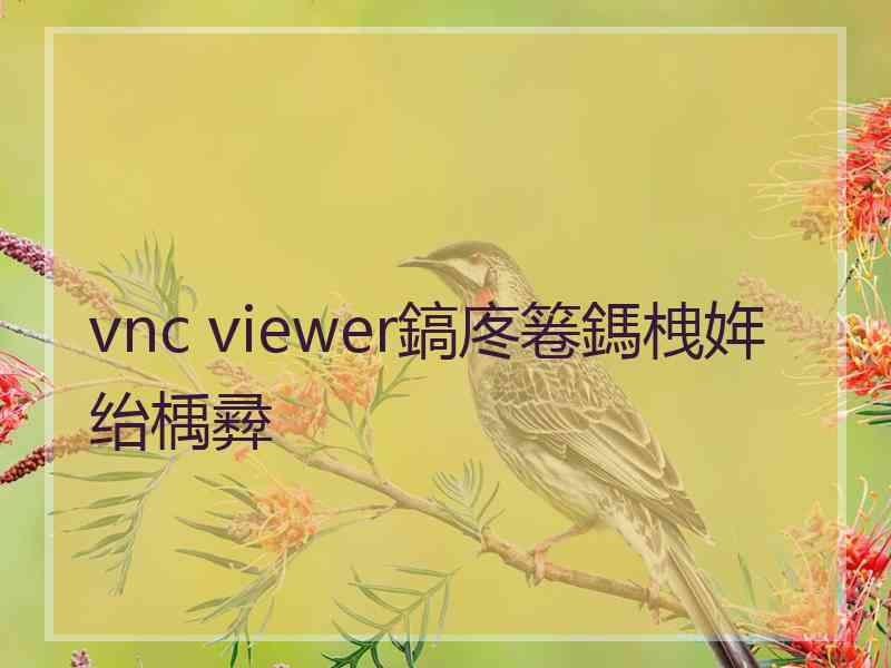 vnc viewer鎬庝箞鎷栧姩绐楀彛