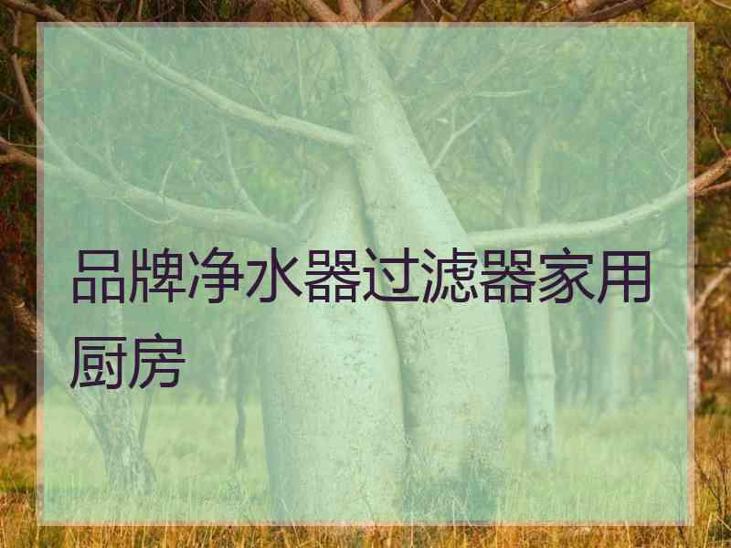 品牌净水器过滤器家用厨房