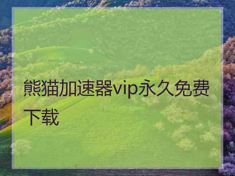 熊猫加速器vip永久免费下载