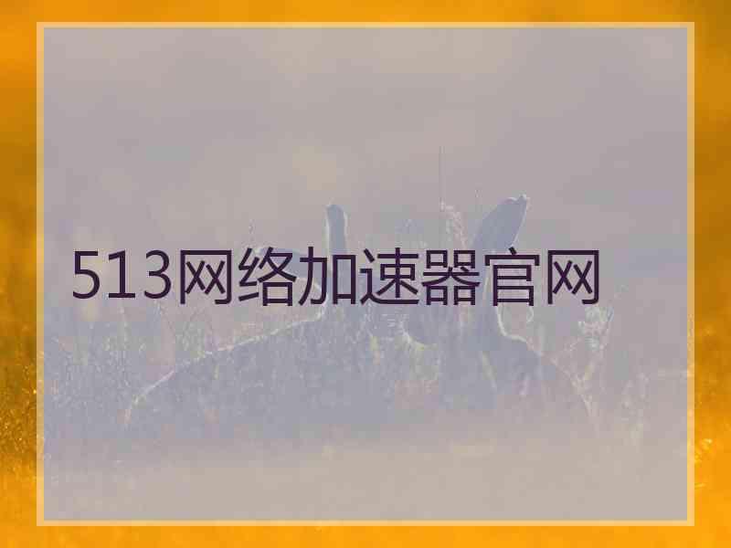 513网络加速器官网