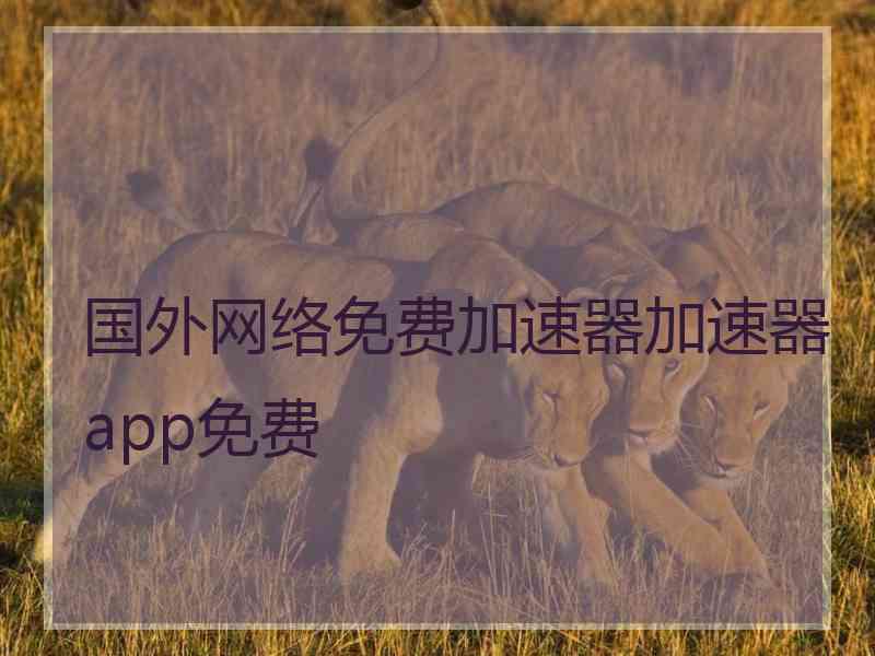 国外网络免费加速器加速器app免费