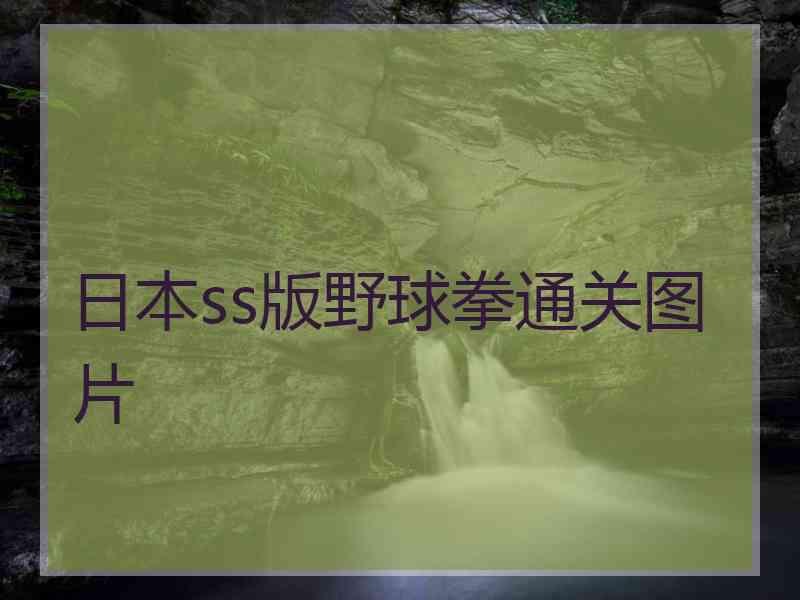日本ss版野球拳通关图片