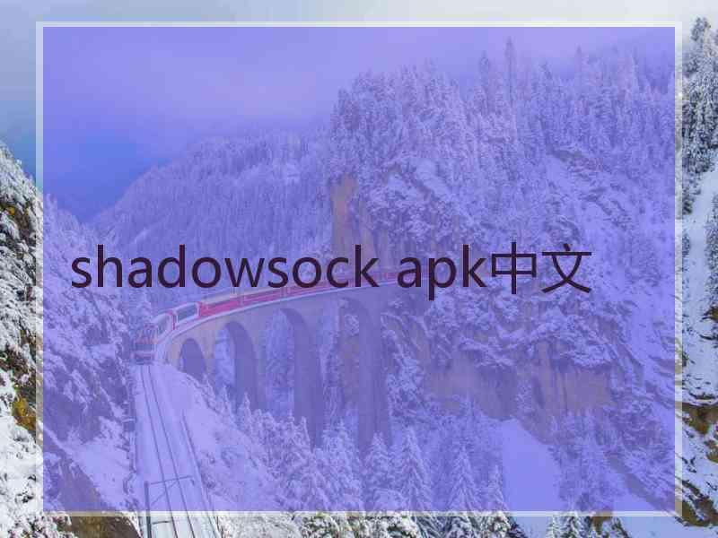 shadowsock apk中文
