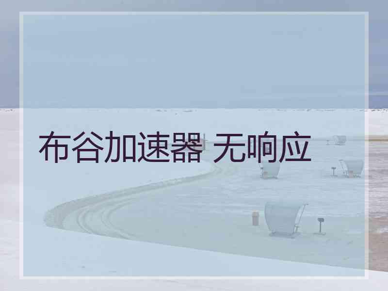 布谷加速器 无响应