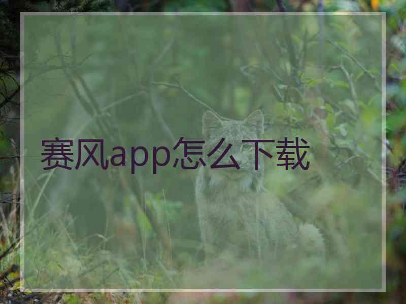 赛风app怎么下载