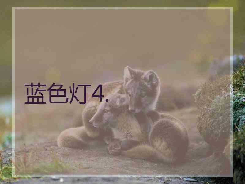 蓝色灯4.