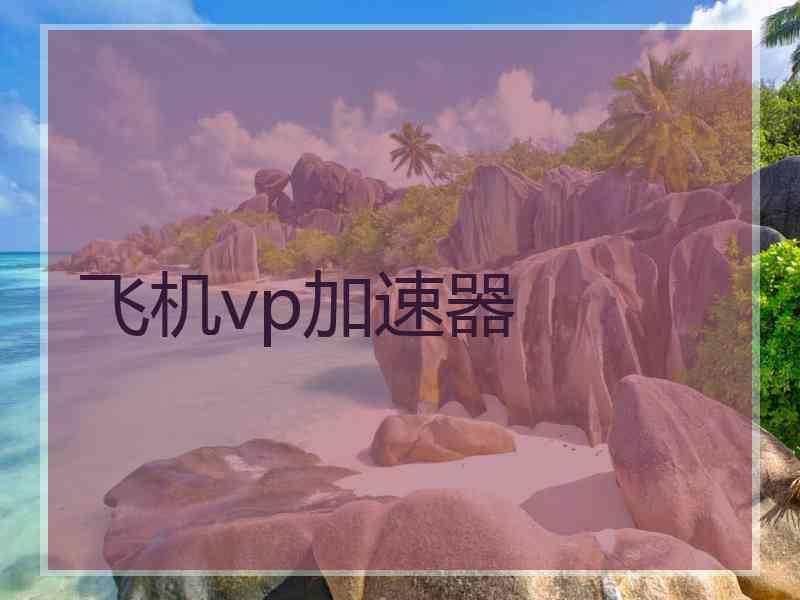 飞机vp加速器