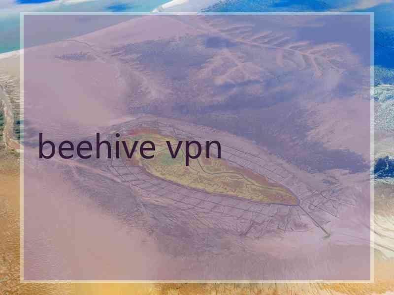 beehive vpn