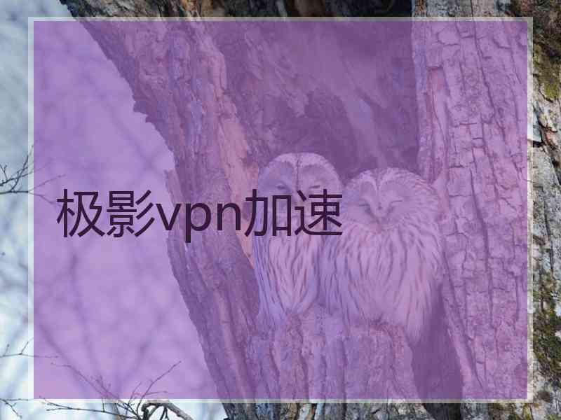 极影vpn加速