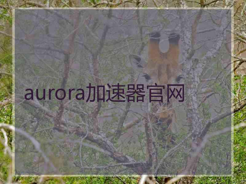 aurora加速器官网