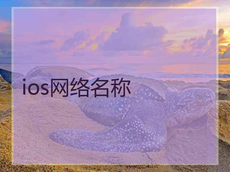 ios网络名称