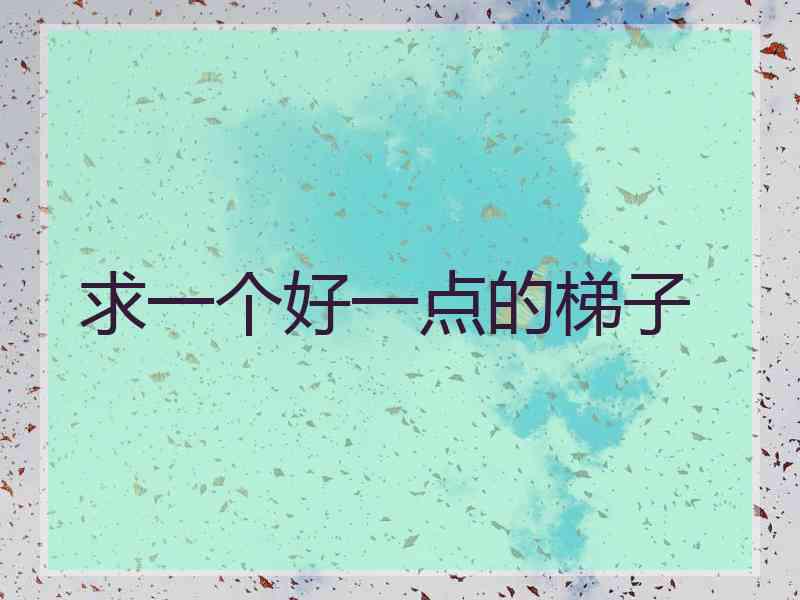 求一个好一点的梯子