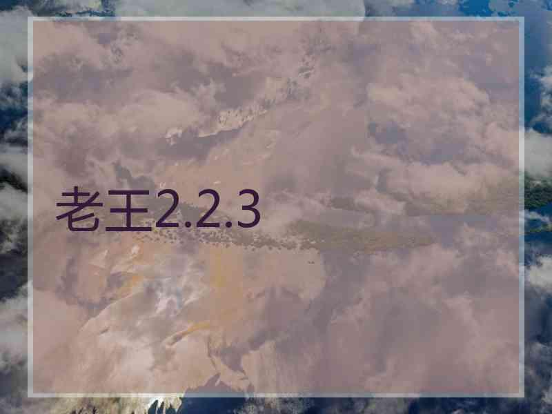 老王2.2.3