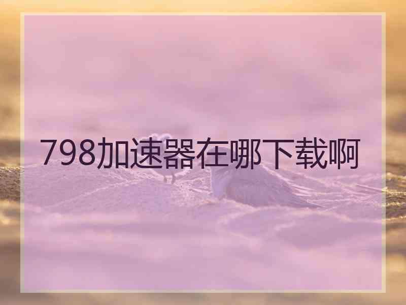 798加速器在哪下载啊
