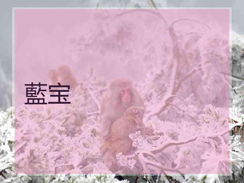 藍宝