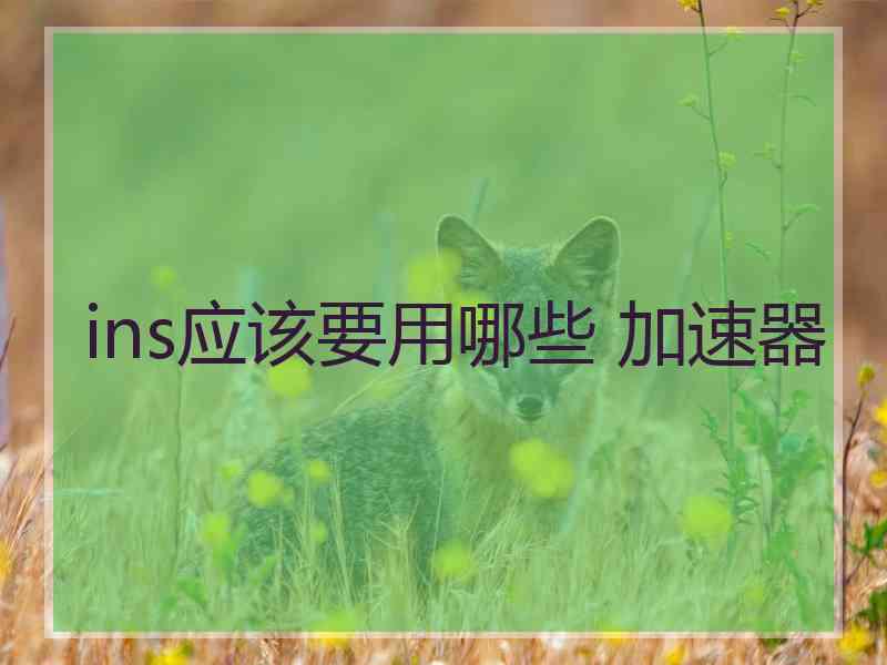 ins应该要用哪些 加速器