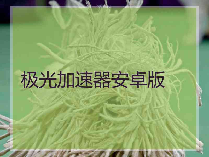 极光加速器安卓版