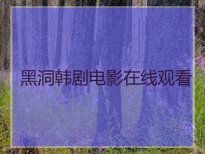 黑洞韩剧电影在线观看