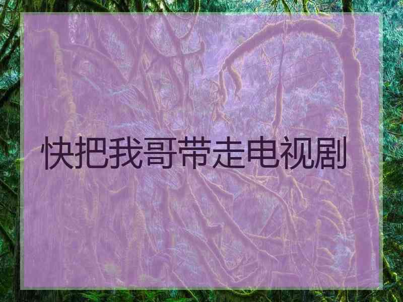 快把我哥带走电视剧