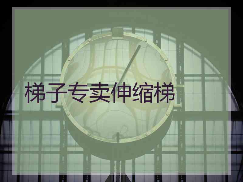 梯子专卖伸缩梯