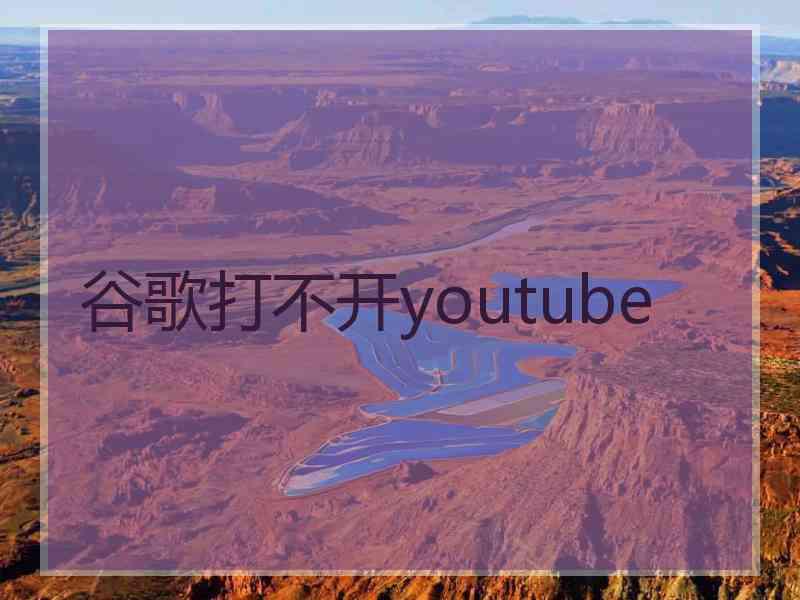 谷歌打不开youtube