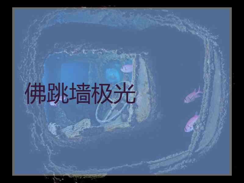 佛跳墙极光
