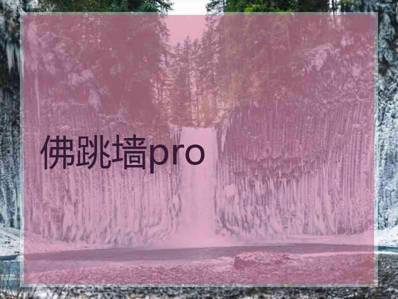 佛跳墙pro